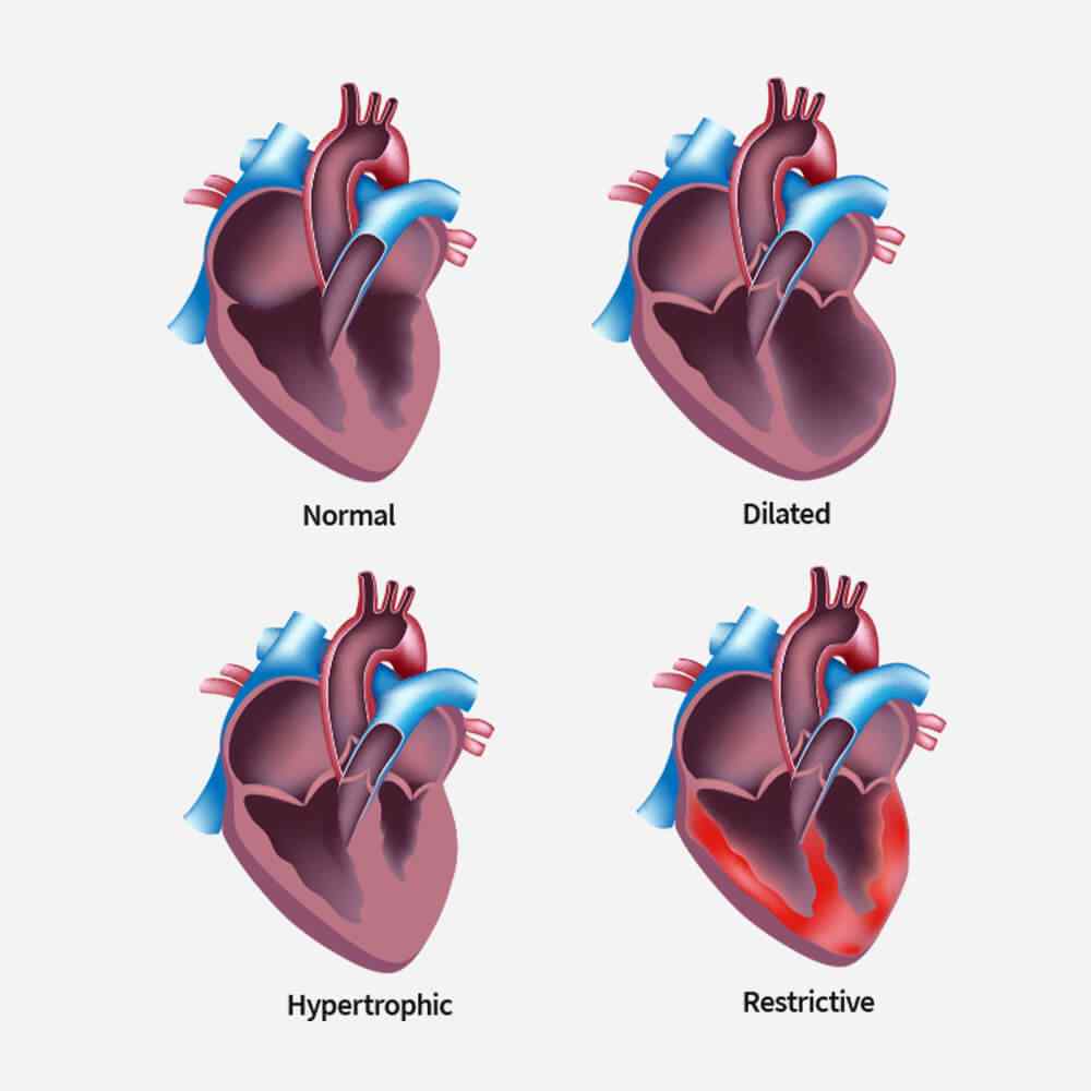 https://spinexclinic.com/wp-content/uploads/2021/09/single_service_02.jpg